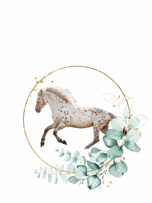 Personalisierte Pferde Sticker – Florales Arrangement – Bild 4