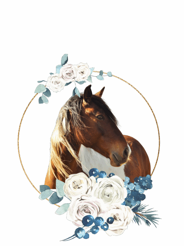 Personalisierte Pferde Sticker – Florales Arrangement – Bild 5
