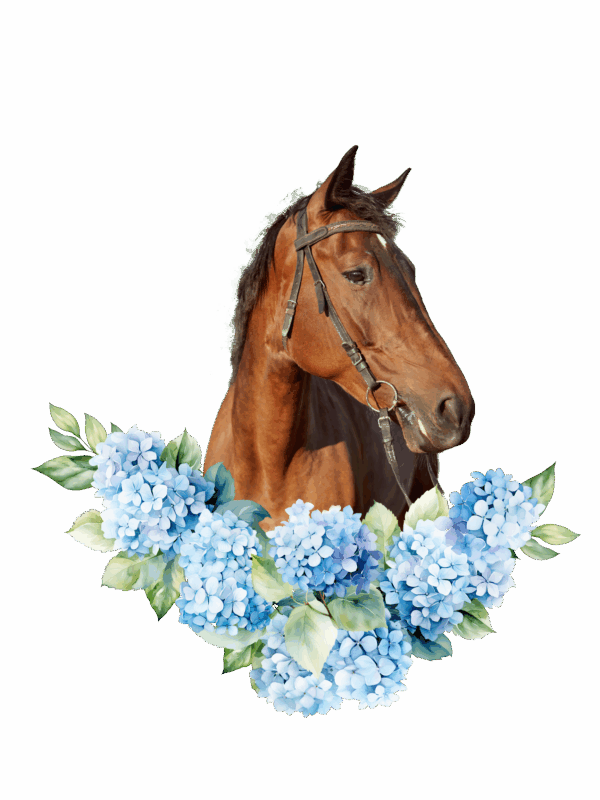 Personalisierte Pferde Sticker – Florales Arrangement – Bild 6